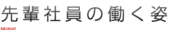 先輩社員の働く姿